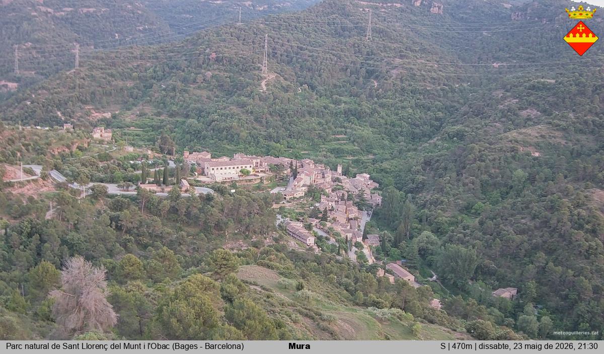 Mura 