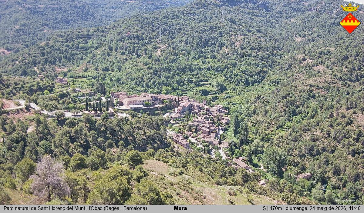 Mura 