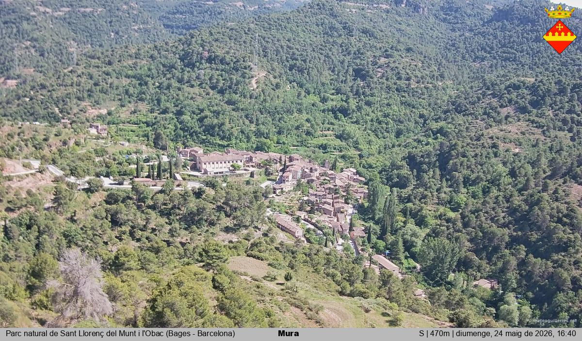 Mura 