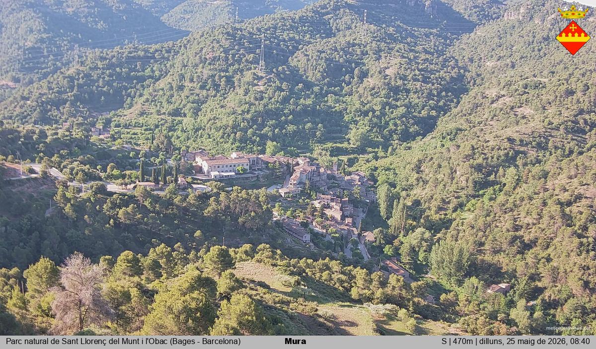 Mura 