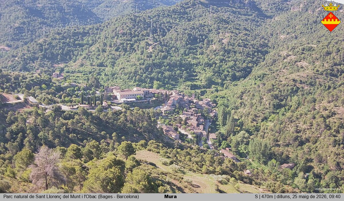 Mura 