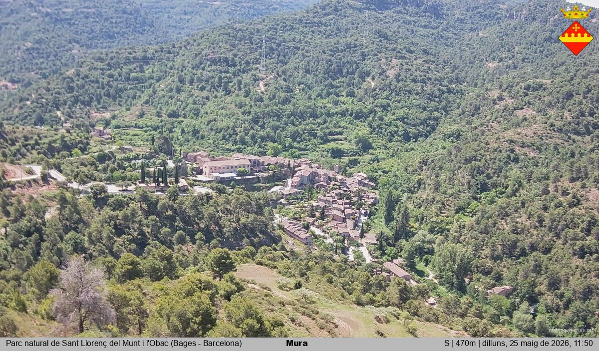 Mura 