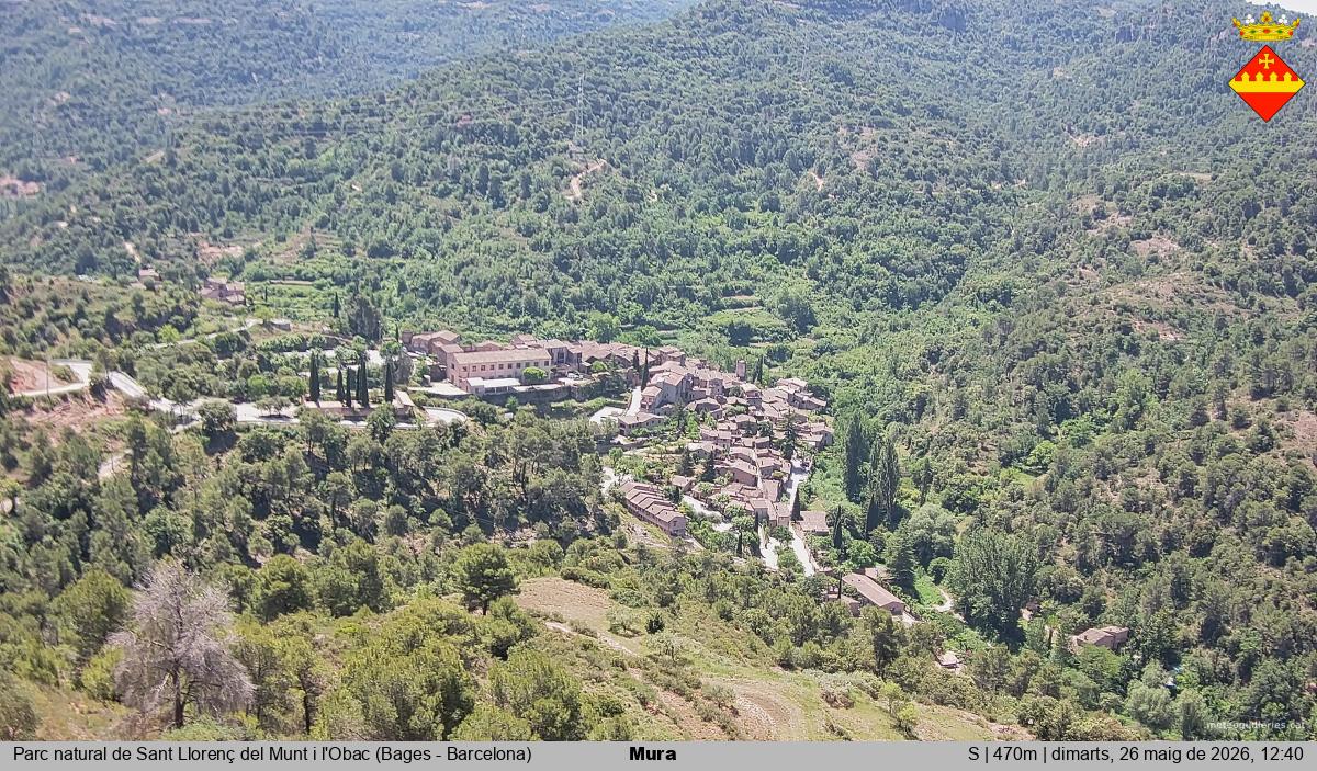 Mura 