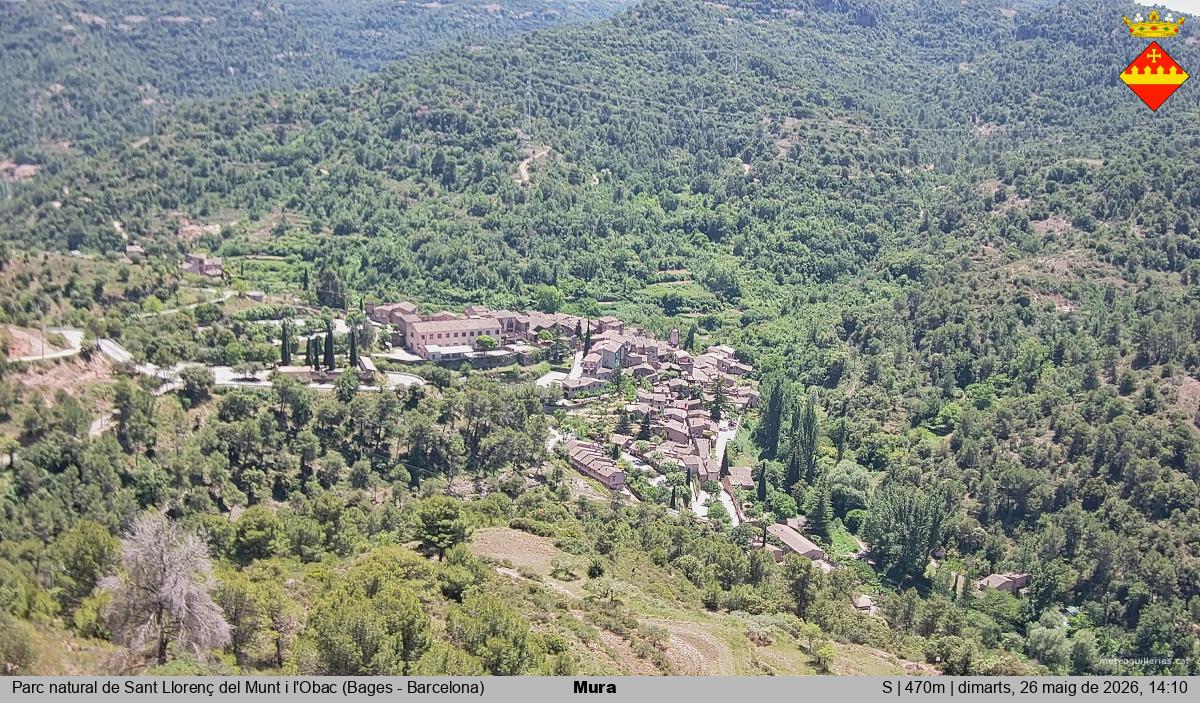 Mura 