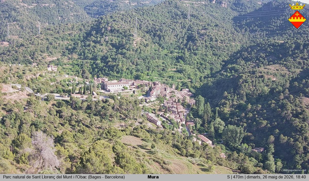 Mura 