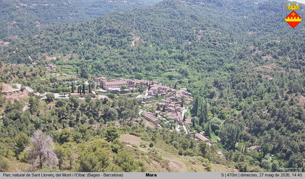 Mura 