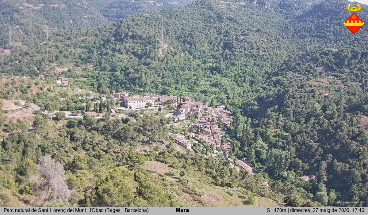 Mura 