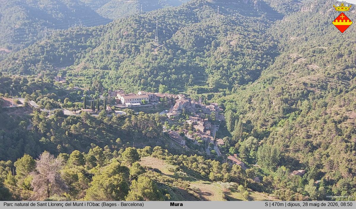 Mura 