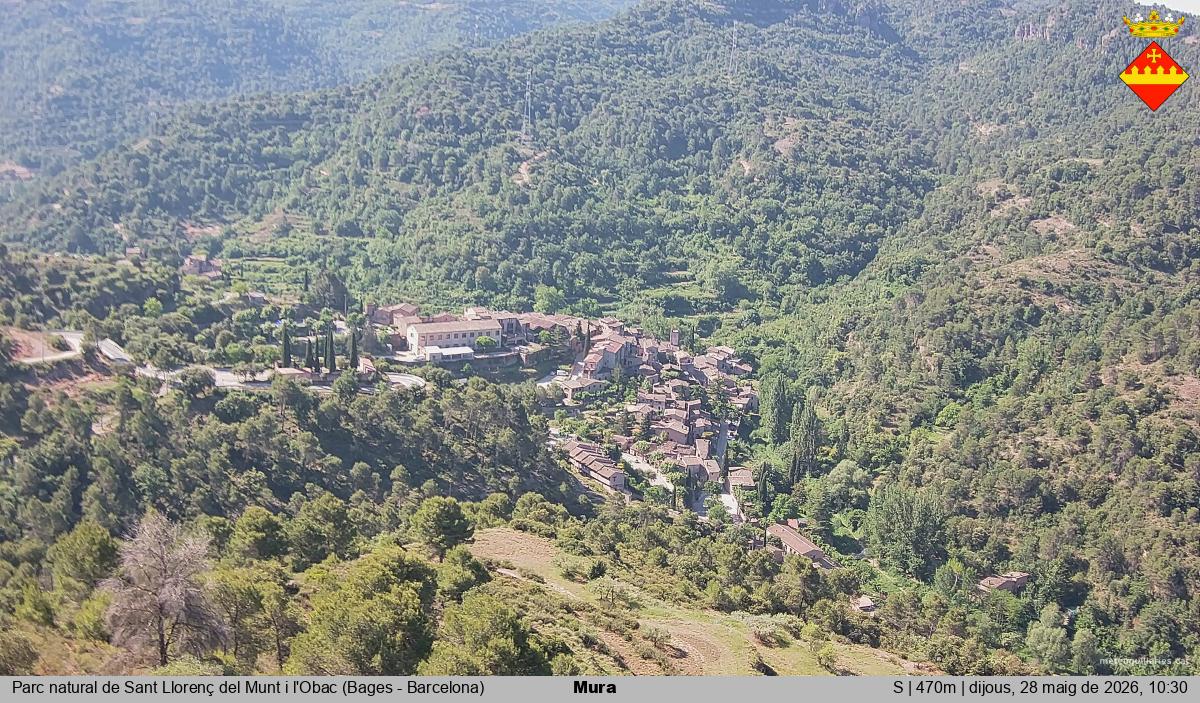 Mura 