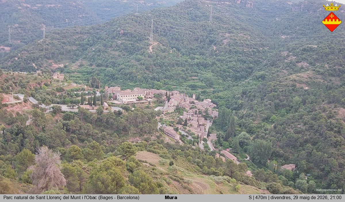 Mura 