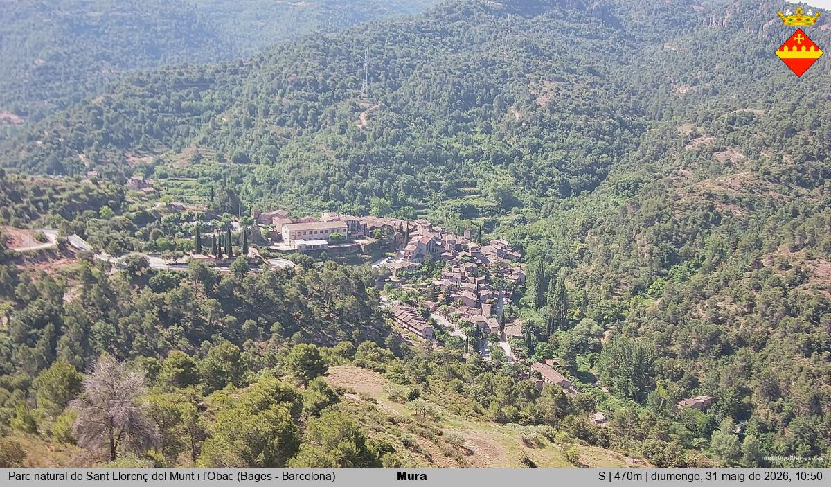 Mura 
