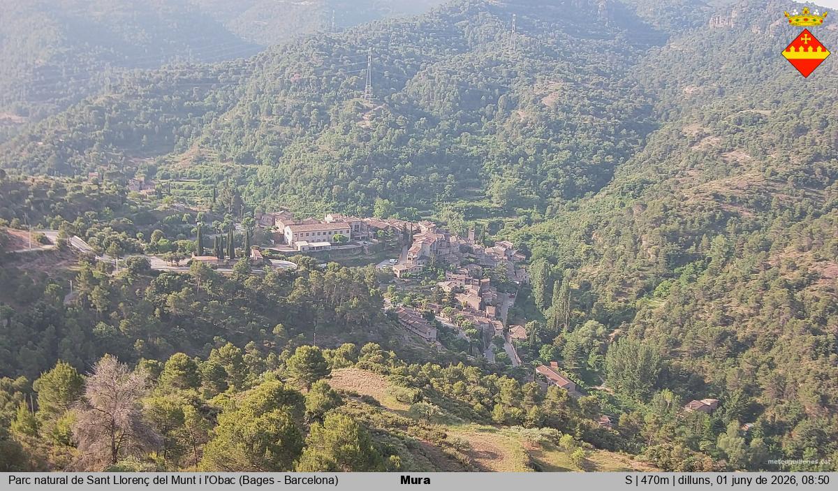 Mura 
