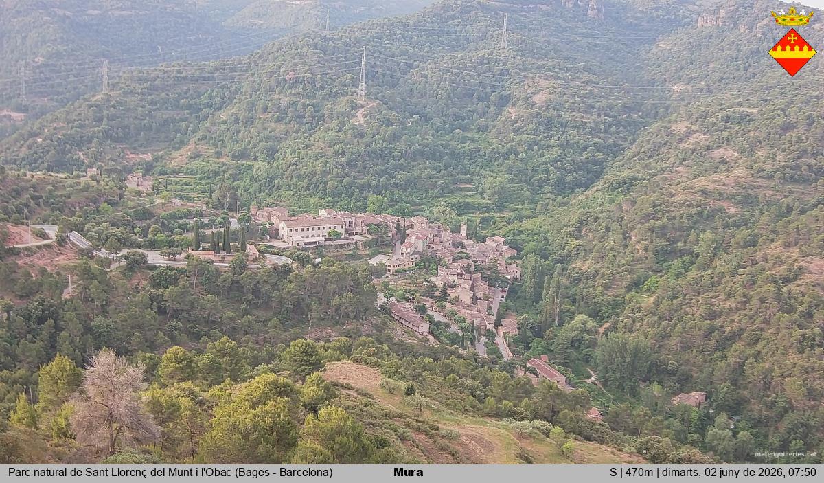 Mura 