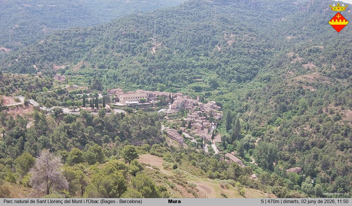 Mura 