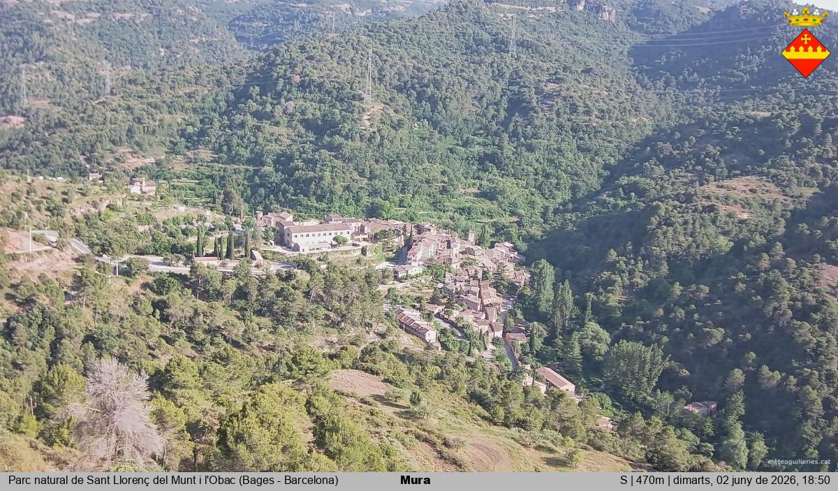 Mura 