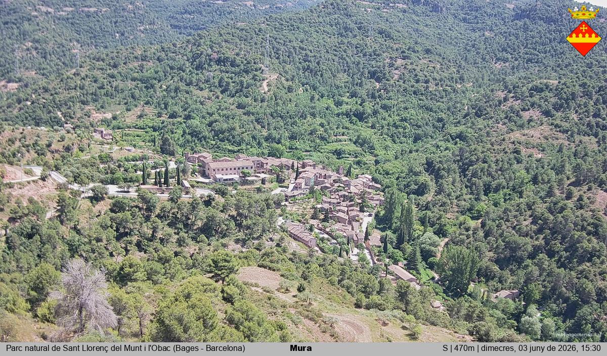 Mura 