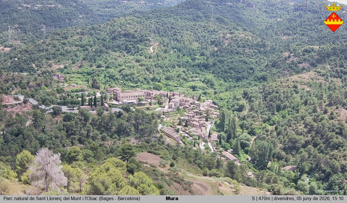 Mura 