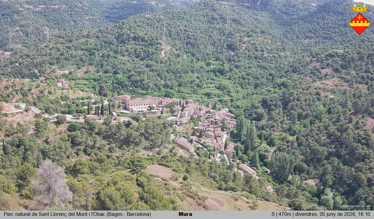Mura 