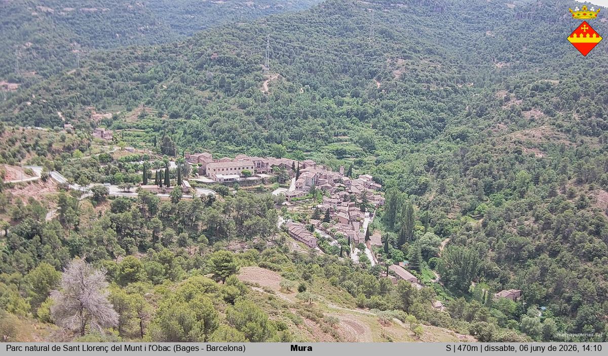 Mura 