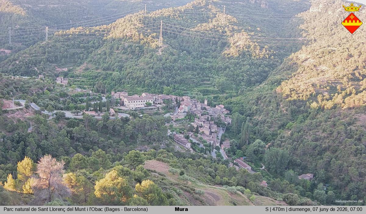 Mura 