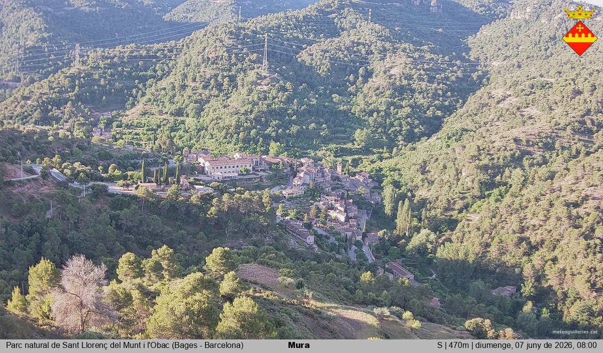 Mura 
