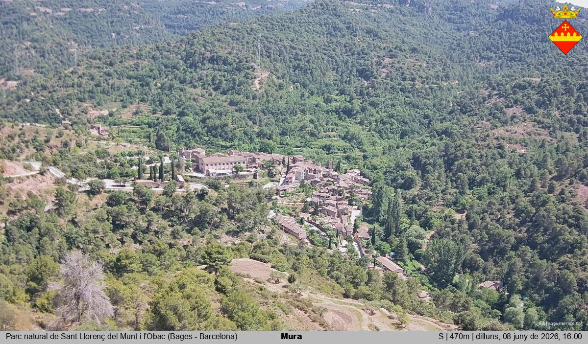 Mura 