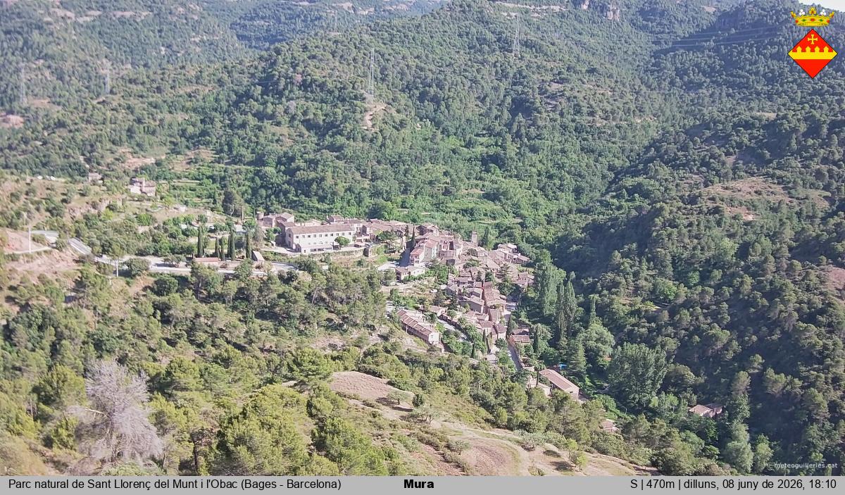 Mura 