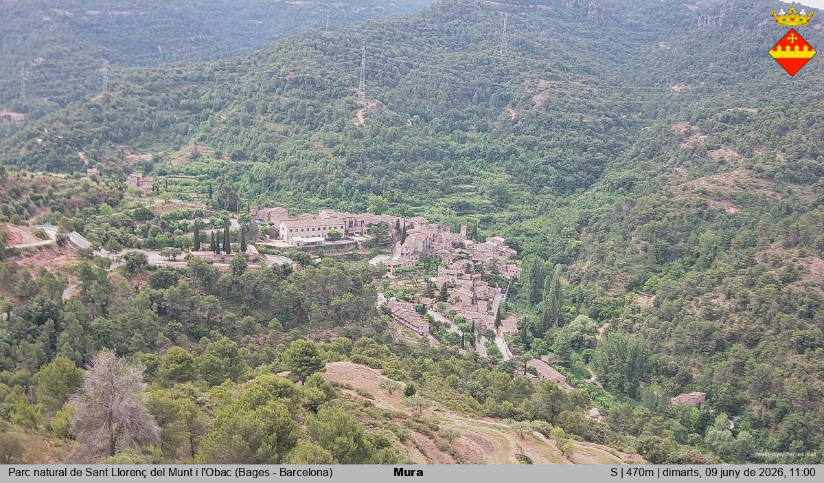 Mura 
