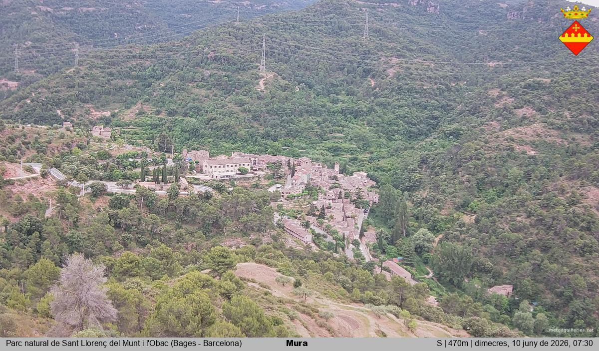 Mura 