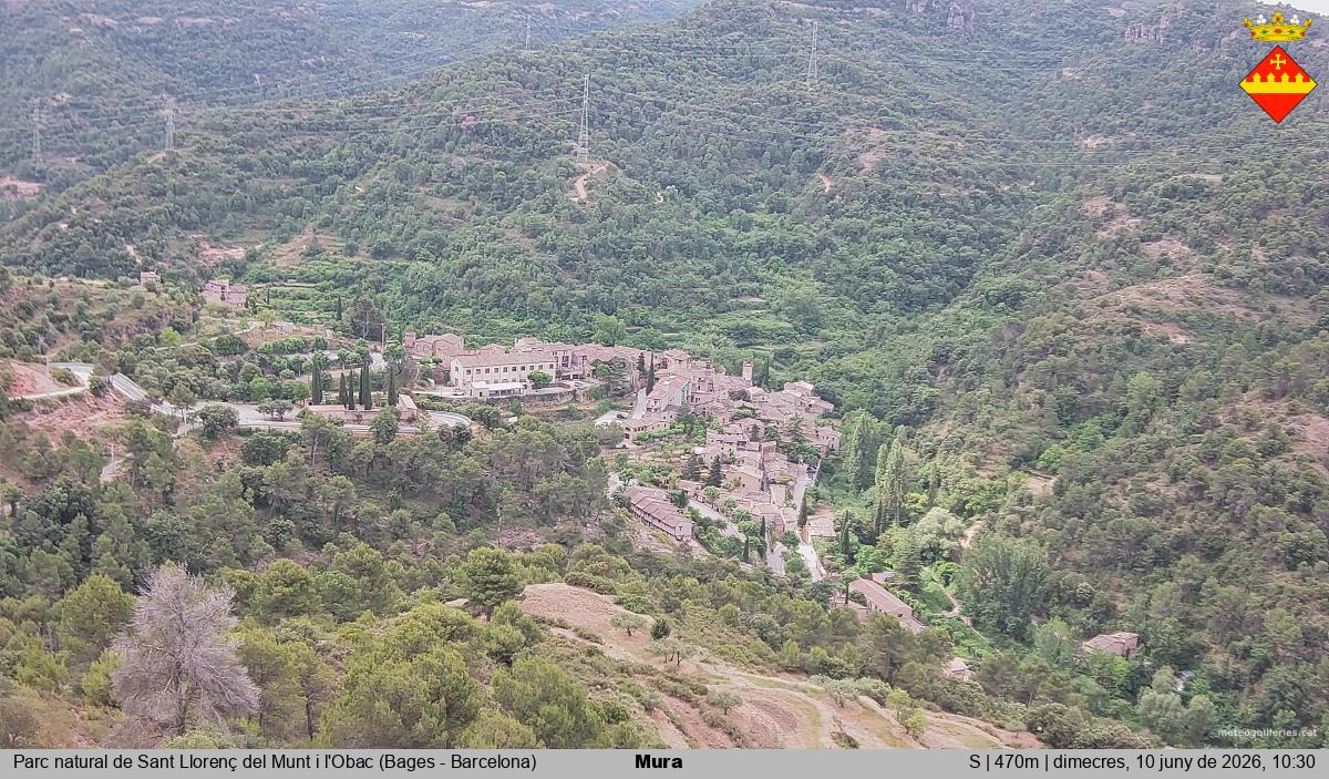 Mura 