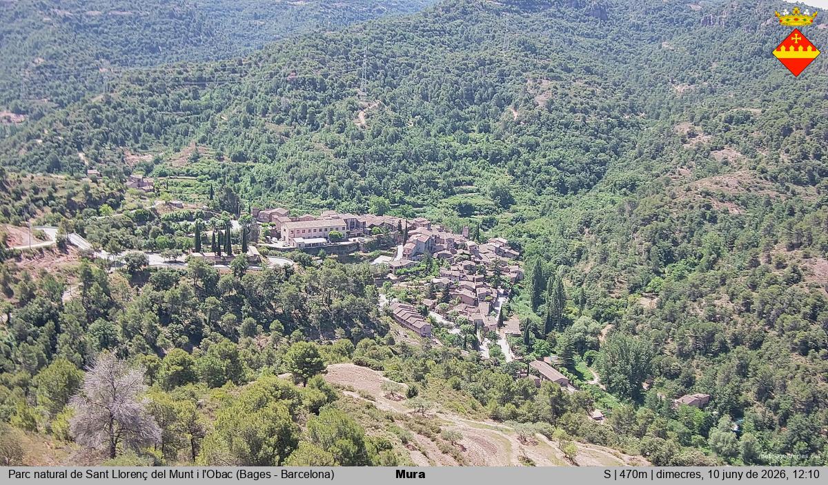 Mura 