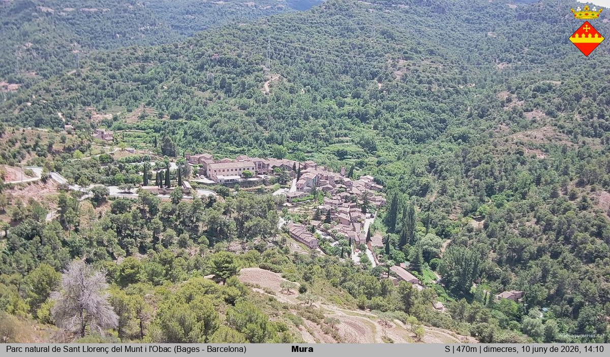 Mura 