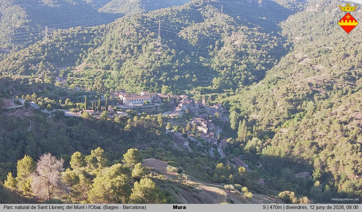 Mura 