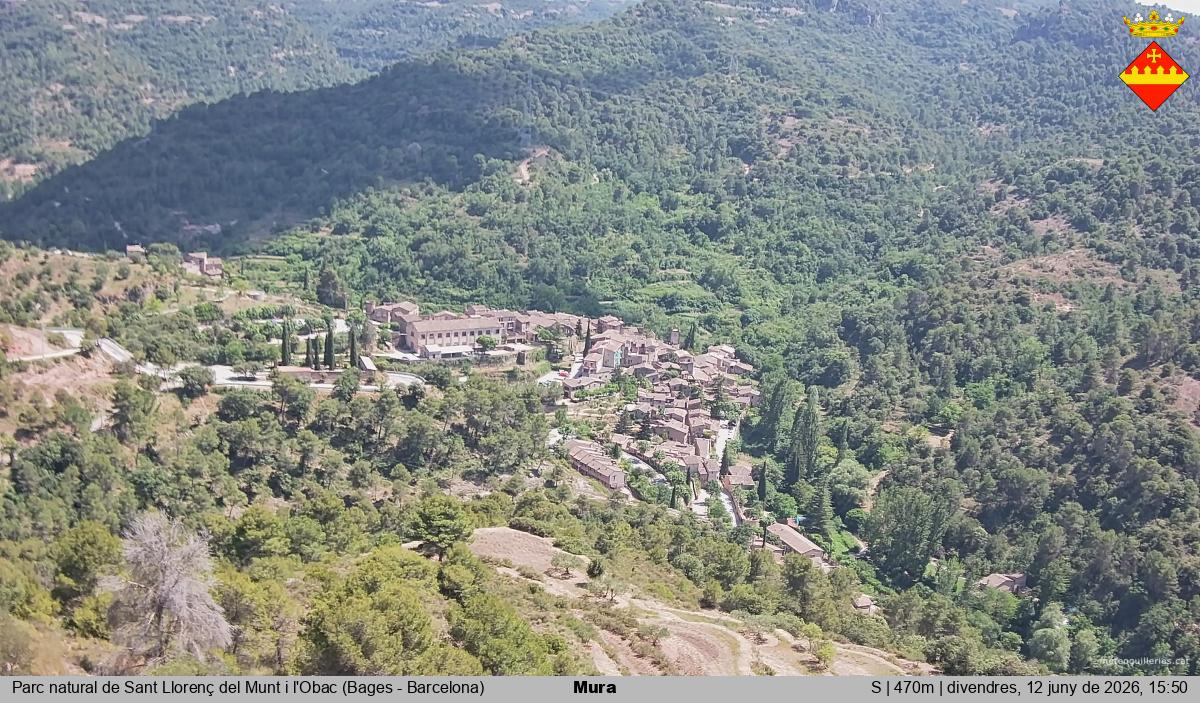 Mura 