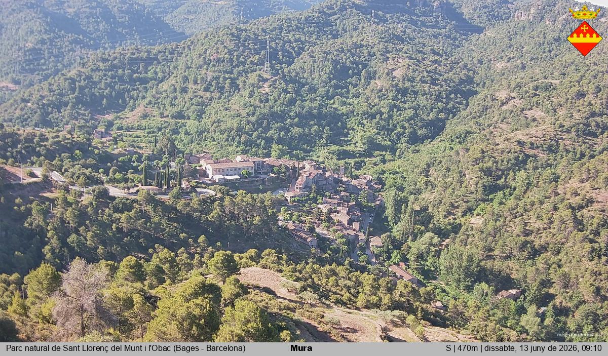 Mura 