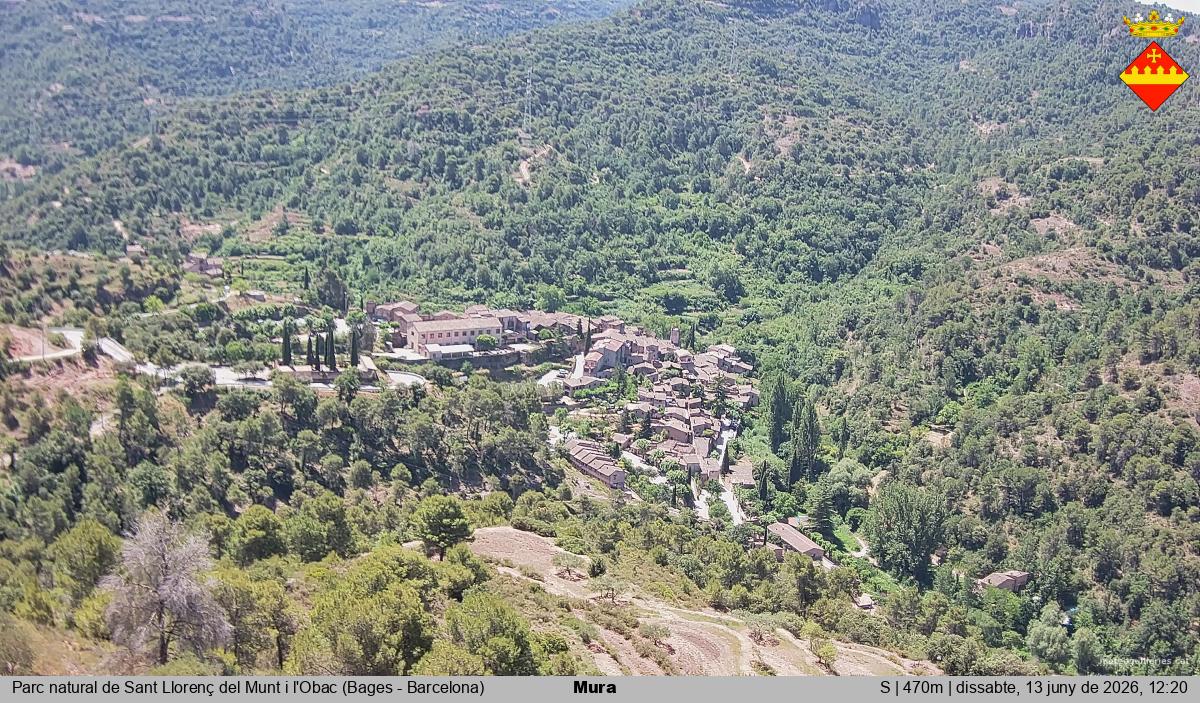 Mura 