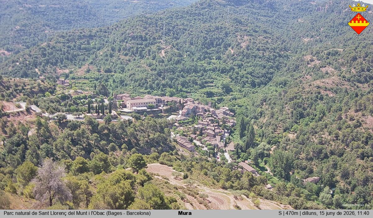 Mura 