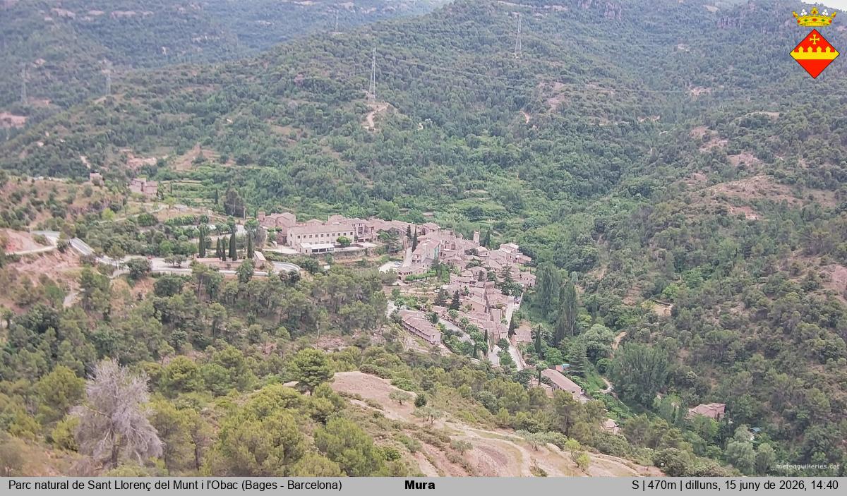 Mura 