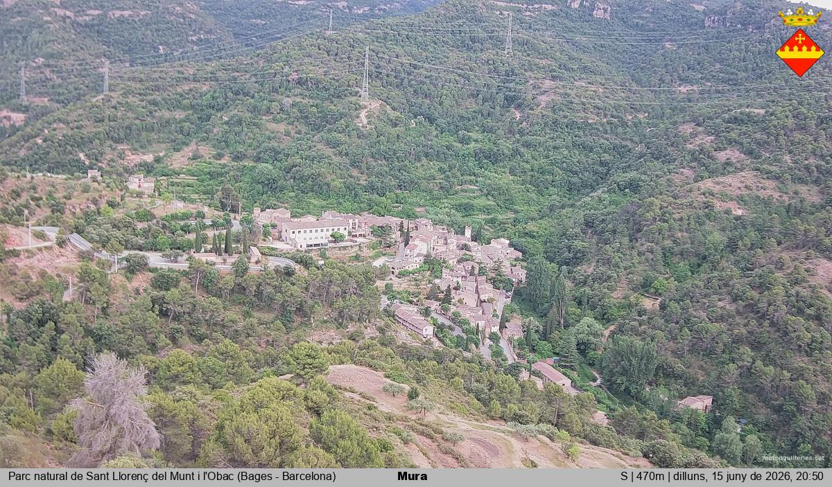 Mura 