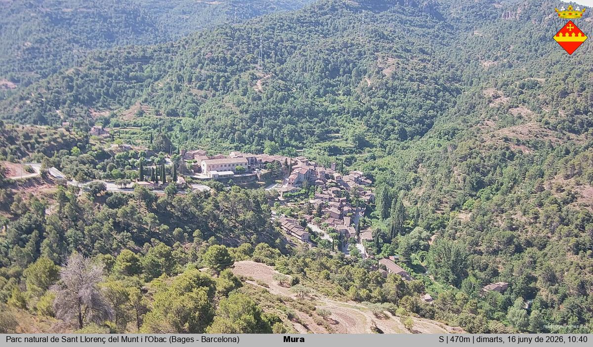 Mura 