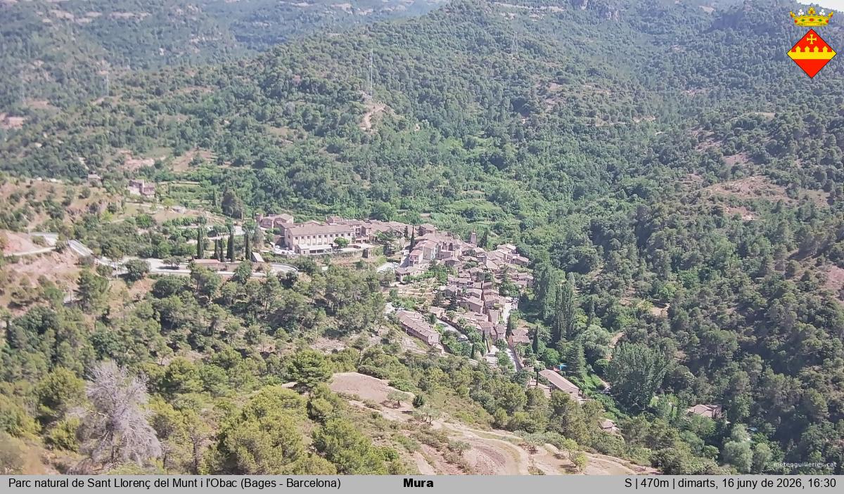 Mura 