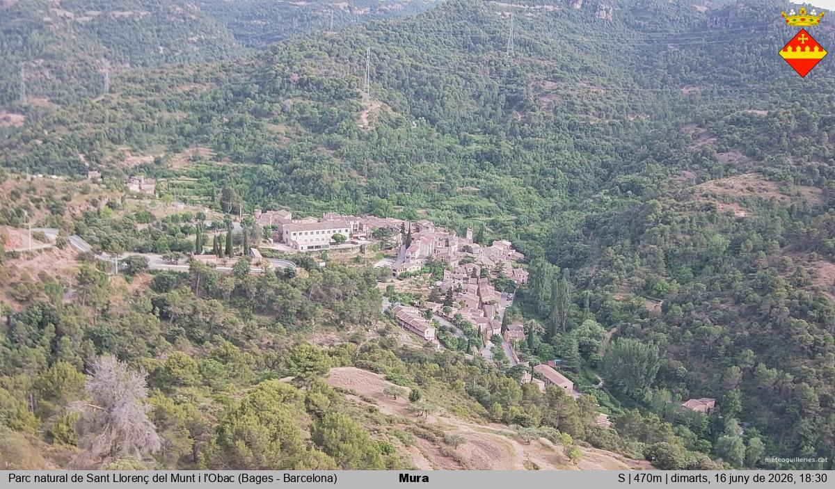 Mura 