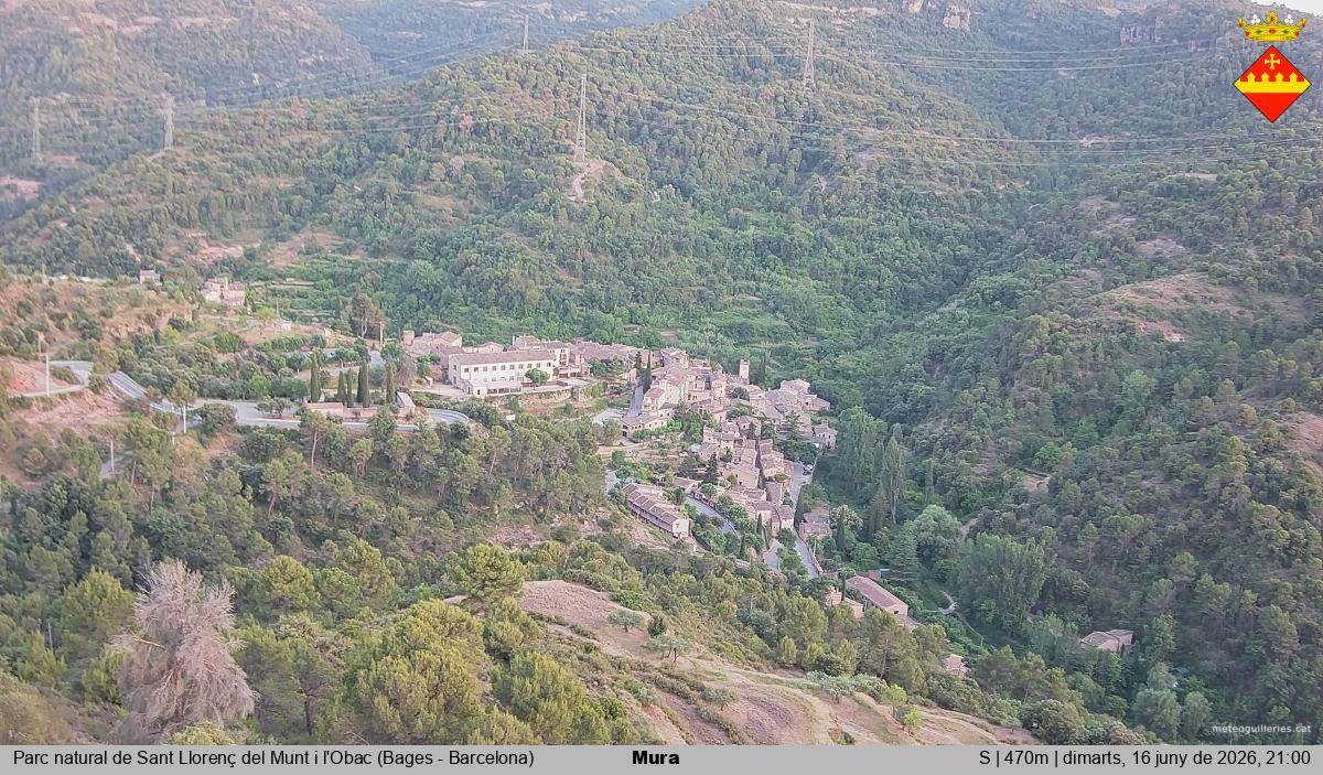 Mura 