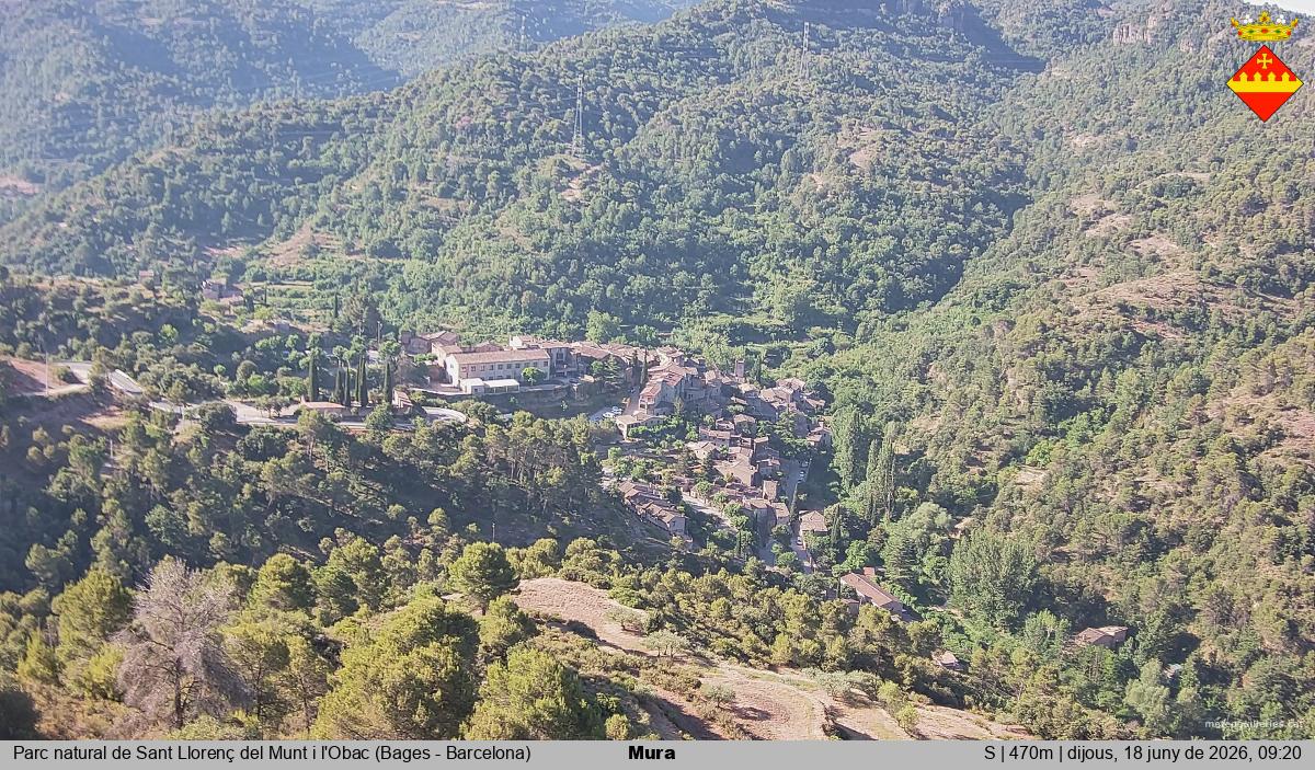 Mura 