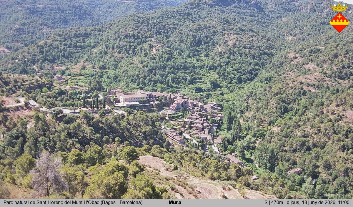 Mura 