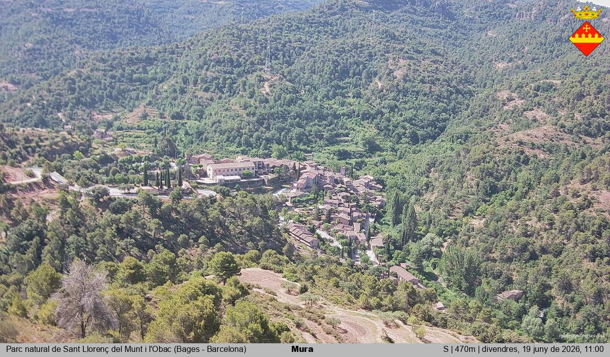 Mura 