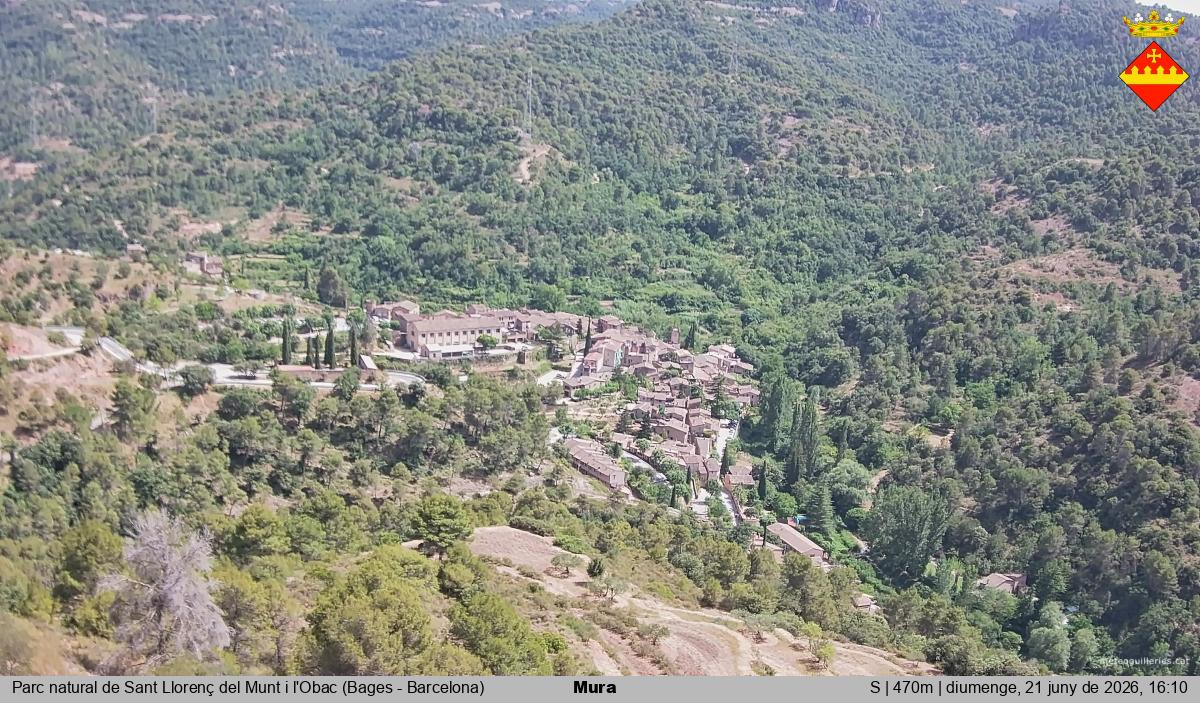 Mura 