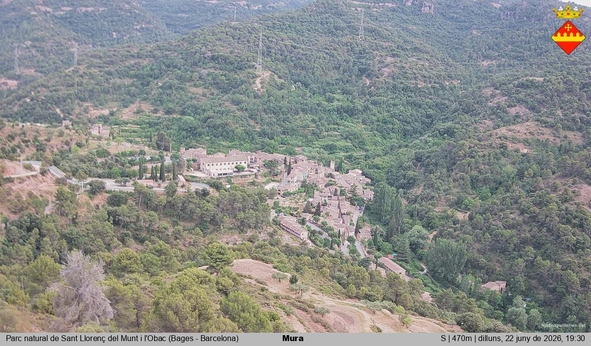 Mura 