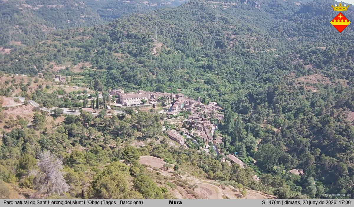 Mura 