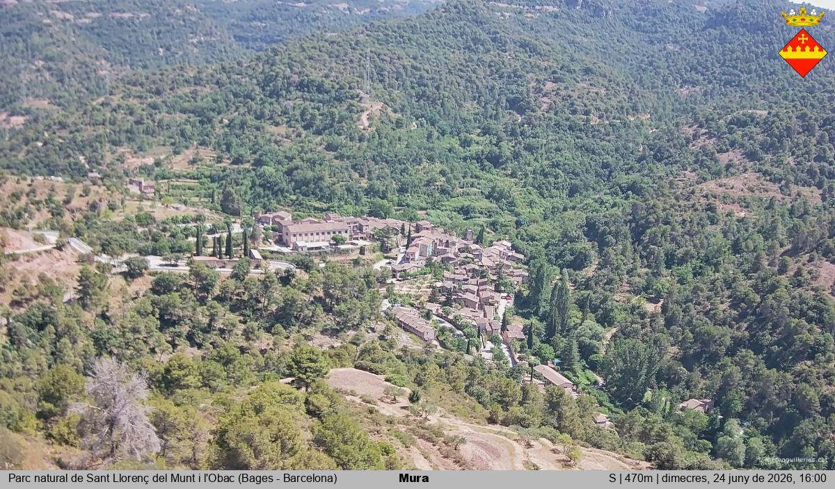 Mura 